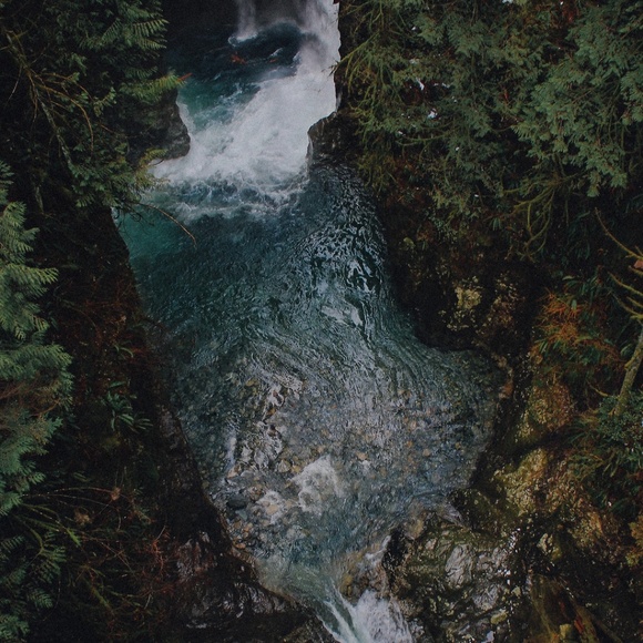 Meet your Posher, Zoie - Picture 1 of 1